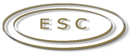 Enterprise Service Corporation